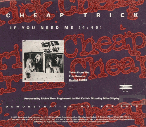 Cheap Trick : If You Need Me